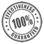 Icon primary